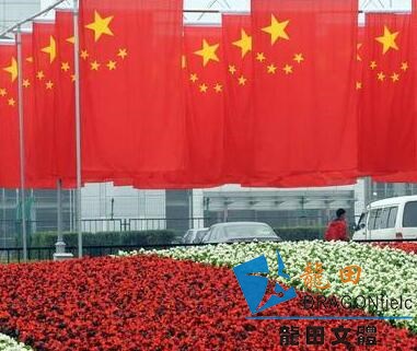 孫楊：風風雨雨堅持了四年 目標走向**領獎臺