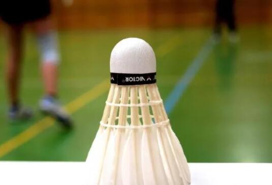 體育運動項目之羽毛球的訓練方法