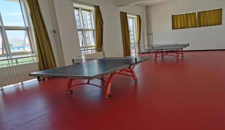 體育設(shè)施的發(fā)展有哪些趨勢？